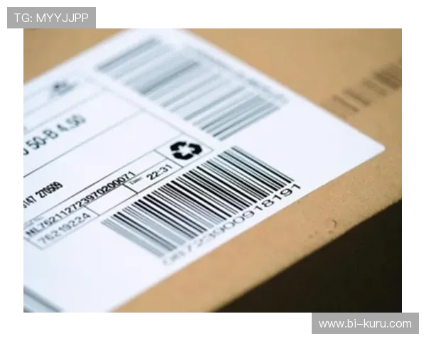 J9九游会官方入口稳定性分析与常见登录问题解决方案